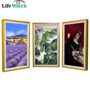 21.5 -inch Digital  Art Painting Frame  LCD Screen